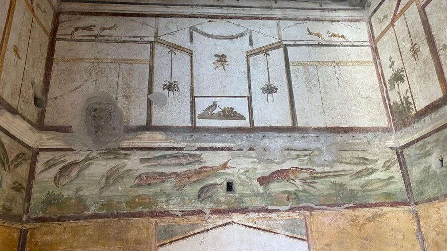 From Sorrento: Pompeii & Vesuvius tour small group - The 40-minute transfer to Mount Vesuvius