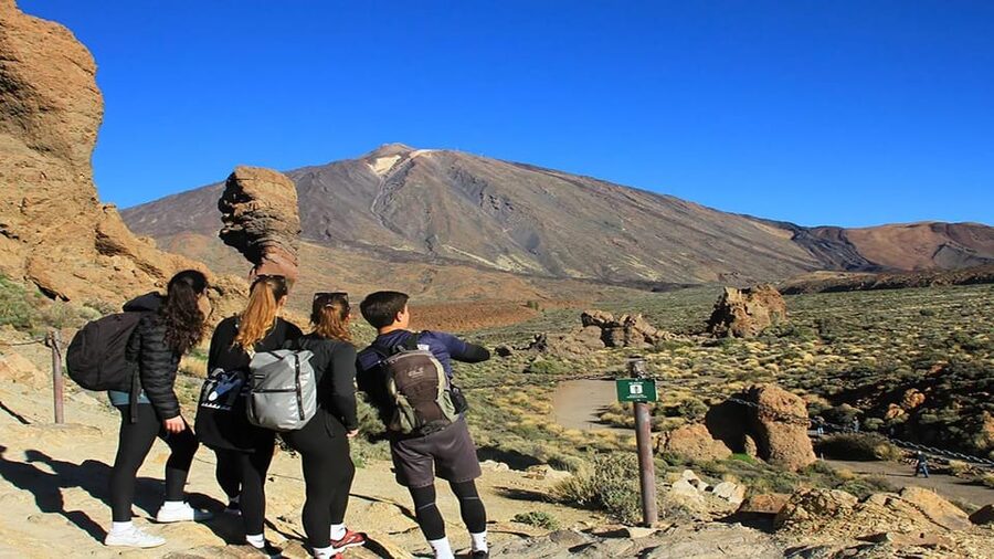 From South Tenerife: Half-Day Tour to Mount Teide - Practical tips before you go