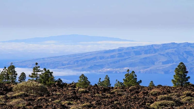 From South Tenerife: Half-Day Tour to Mount Teide - From the coast to Vilaflor