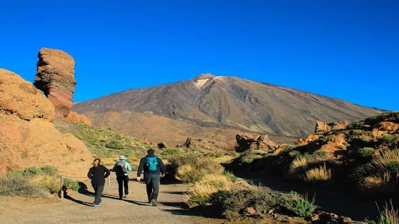 From South Tenerife: Half-Day Tour to Mount Teide - Las Cañadas del Teide, a giant volcanic basin