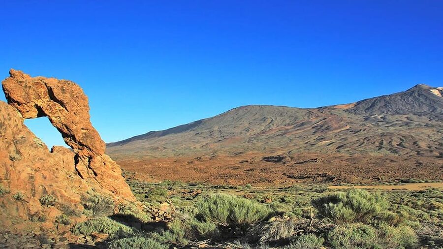From South Tenerife: Half-Day Tour to Mount Teide - Guides, buses, and the pace of the day