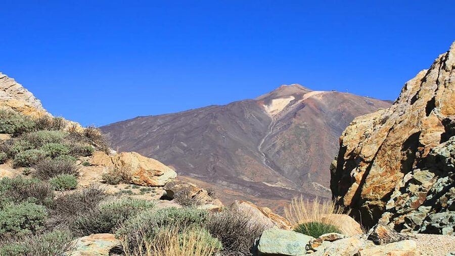 From South Tenerife: Half-Day Tour to Mount Teide - Price and what your $51 covers