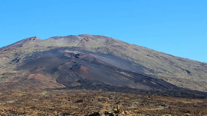 From South Tenerife: Half-Day Tour to Mount Teide - Pine forest, volcanoes, and petrified lava