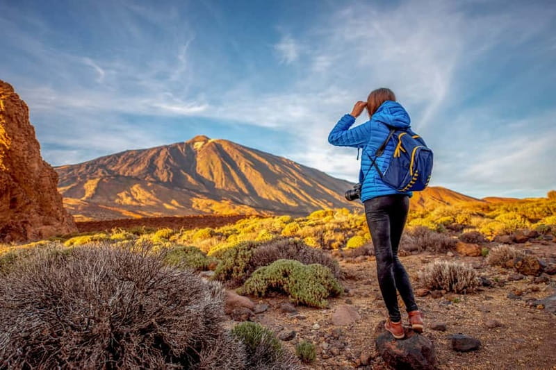 From South Tenerife: Mount Teide Hiking Day Trip & Cable Car - Teide National Park and the cable car