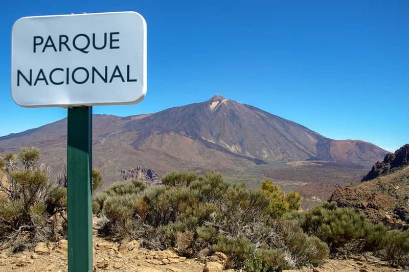From South Tenerife: Mount Teide Hiking Day Trip & Cable Car - Who should book this experience