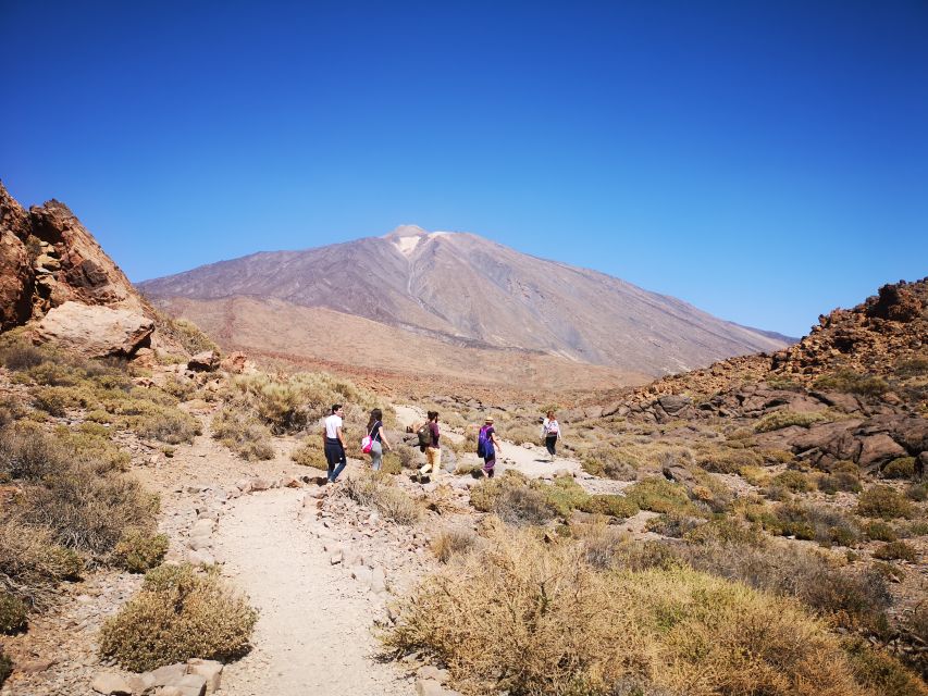 From South Tenerife: Teide National Park Tour - From the coast to Vilaflor
