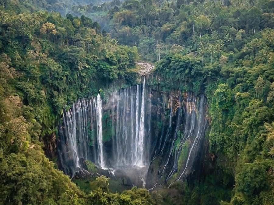 From Surabaya/Malang : Bromo, Ijen, Tumpaksewu in 3 days - Three East Java icons packed into 72 hours