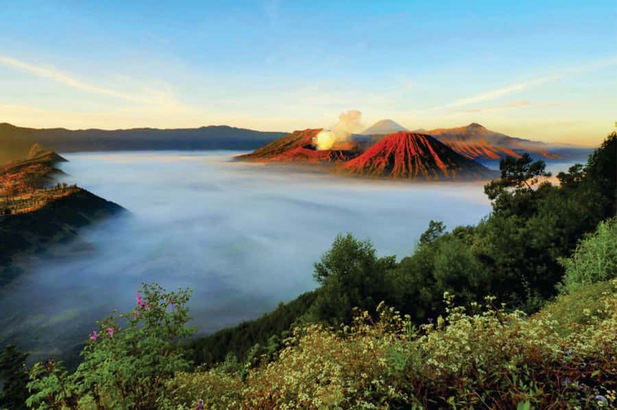 From Surabaya: Mt. Bromo Sunrise Private Trip - Switching to a 4WD jeep at Cemoro Lawang