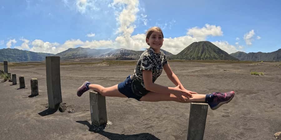 From Surabaya or Malang: Private Mt. Bromo Sunrise Day Trip - What the $178 price buys you