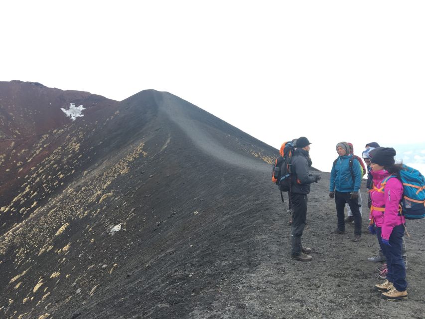 From Syracuse: Etna Tour with Light Lunch and Wine Tasting - Why this Etna day trip works so well