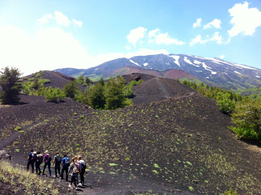 From Syracuse: Etna Tour with Light Lunch and Wine Tasting - The lava cave is the day’s most unusual stop