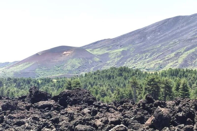 From Taormina: Etna Walking Tour and Wine Tasting in Winery - Key points to know before booking