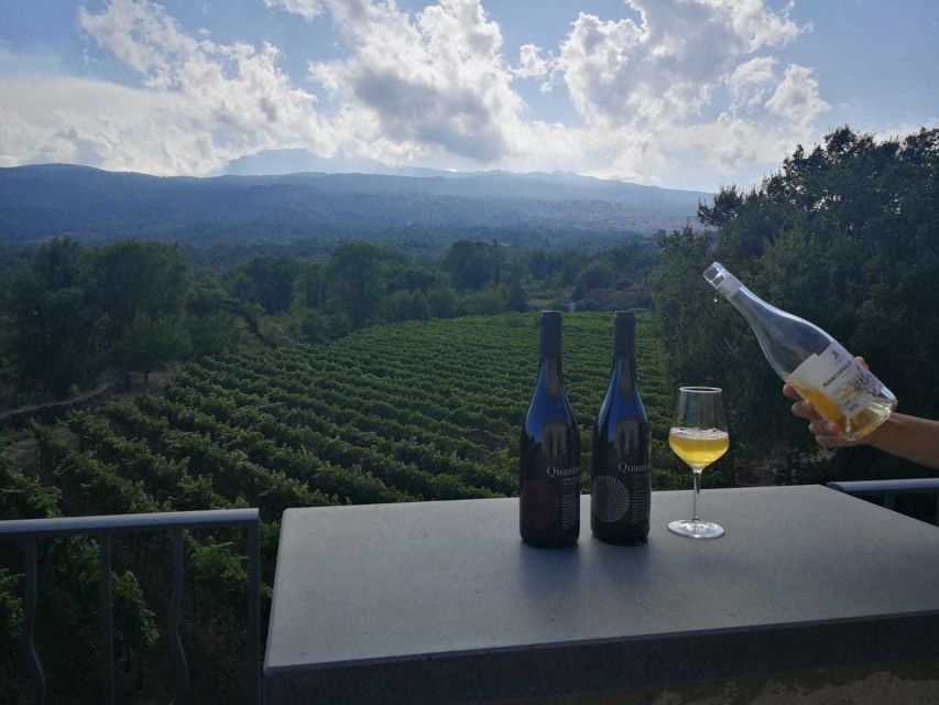 From Taormina: Etna Wineries Small Group Tour - Why Etna wine country is worth your day