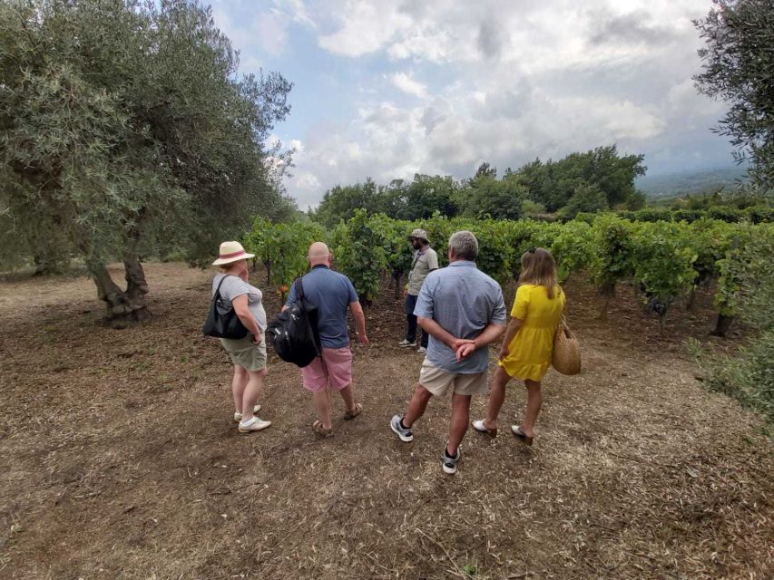 From Taormina: Etna Wineries Small Group Tour - Who will get the most from this tour