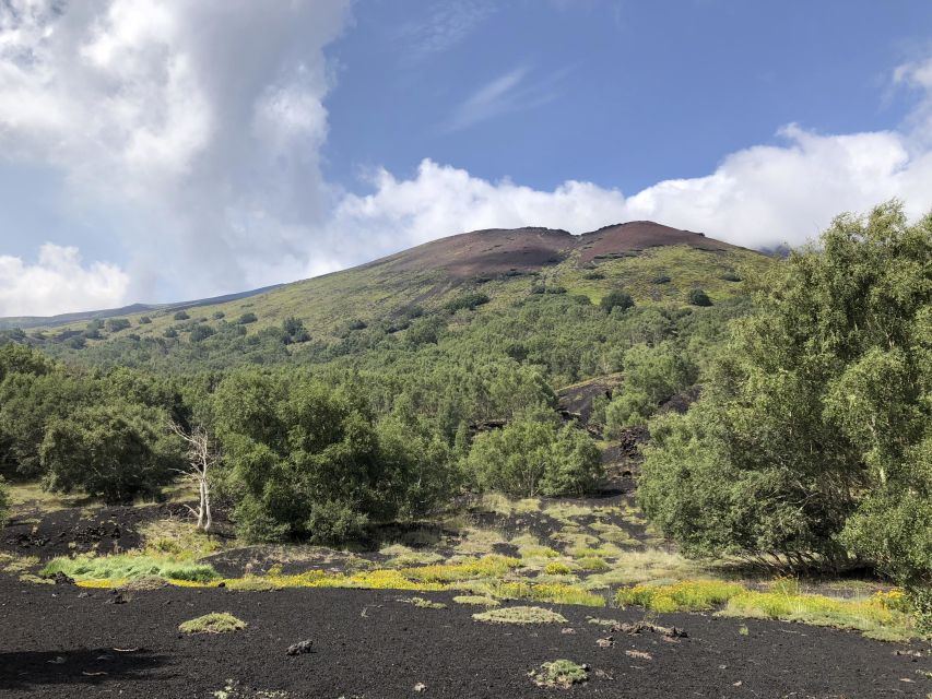 From Taormina: Full-Day Etna, Wine & Alcantara Canyons Tour - Alcantara Canyons from the panoramic viewpoint