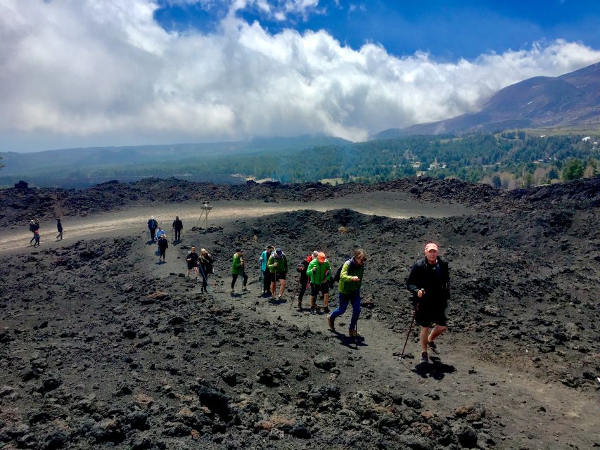 From Taormina: Full-Day Etna, Wine & Alcantara Canyons Tour - Who should book this Etna and Alcantara tour
