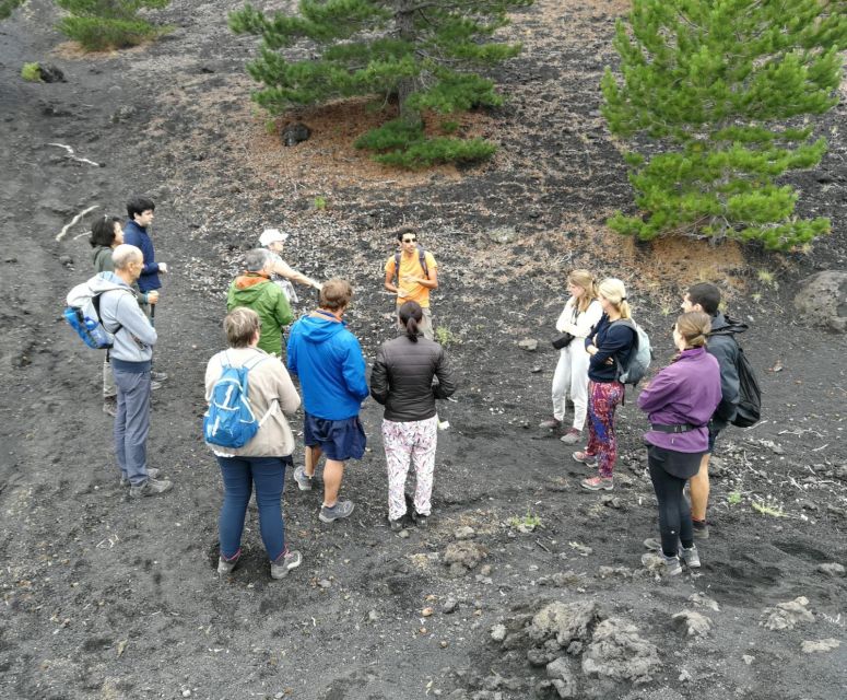 From Taormina: Full-Day Etna, Wine & Alcantara Canyons Tour - Pickup from Taormina and the ride toward Etna