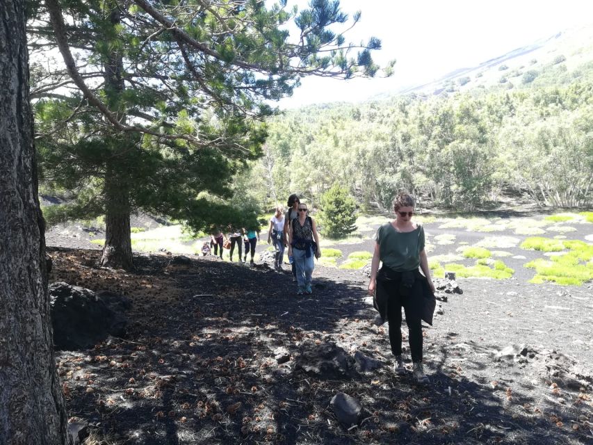 From Taormina: Half-Day Mount Etna Morning Trek - Sandwiches, wine, and almond wine at an Etna winery
