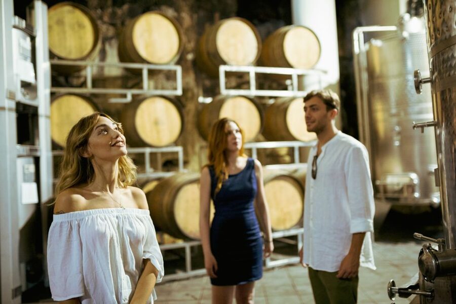 From Taormina: Mount Etna Food and Wine Tasting Tour - Who Should Book This Tour?