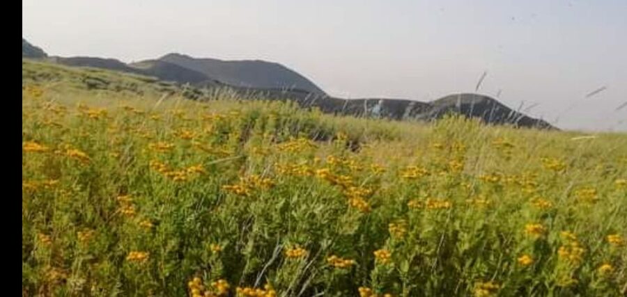 From Taormina, Naxos, & Letojanni: Mount Etna Half-Day Trip - What makes the lower slopes of Mount Etna special