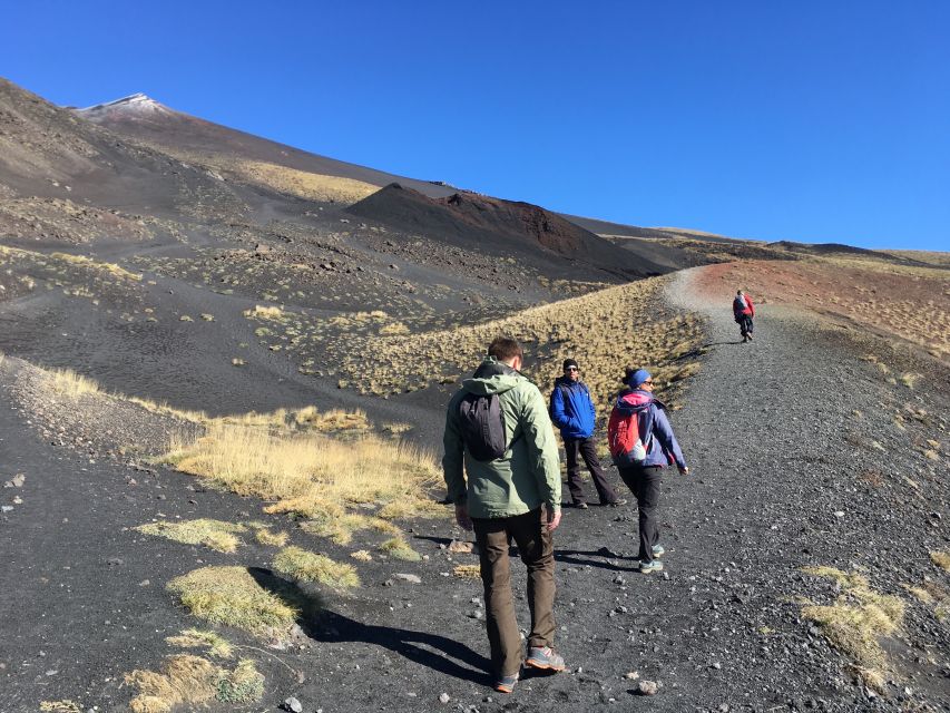 From Taormina or Catania: Private Full-Day Mount Etna Hike - Why private guiding helps on Etna