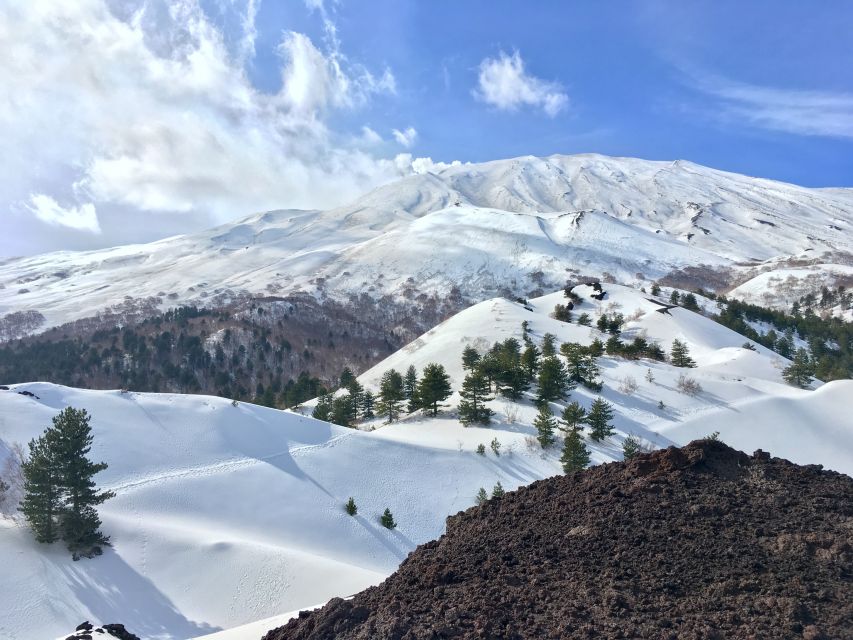 From Taormina or Catania: Private Full-Day Mount Etna Hike - Is $643.66 good value for two people?