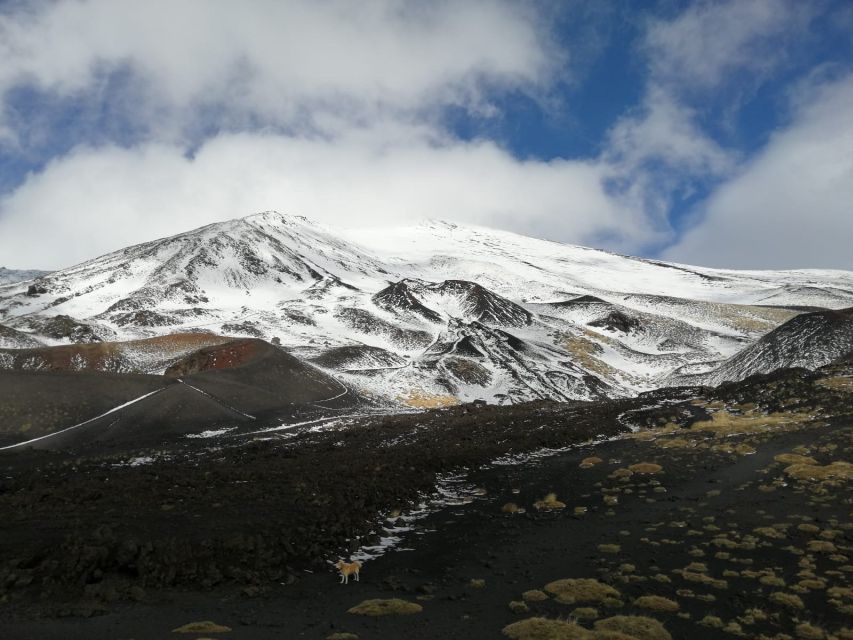 From Taormina or Catania: Private Full-Day Mount Etna Hike - Walking across lava fields and extinct craters