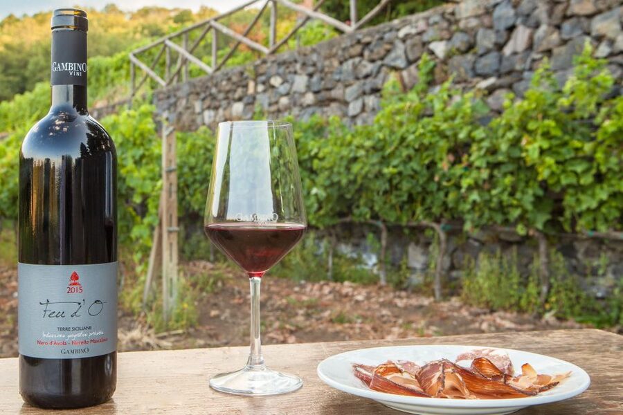 From Taormina: Private 3 Etna Wineries with Food & Wine - Key points at a glance