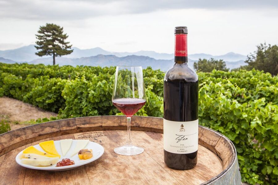 From Taormina: Private 3 Etna Wineries with Food & Wine - Why Etna wine is worth a full day