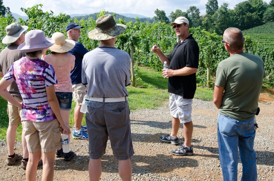 From Taormina: Private 3 Etna Wineries with Food & Wine - The private car makes the route easier