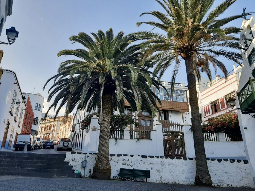 From Tenerife: Day Trip to La Palma Volcanic Landscapes - Key points to know before booking