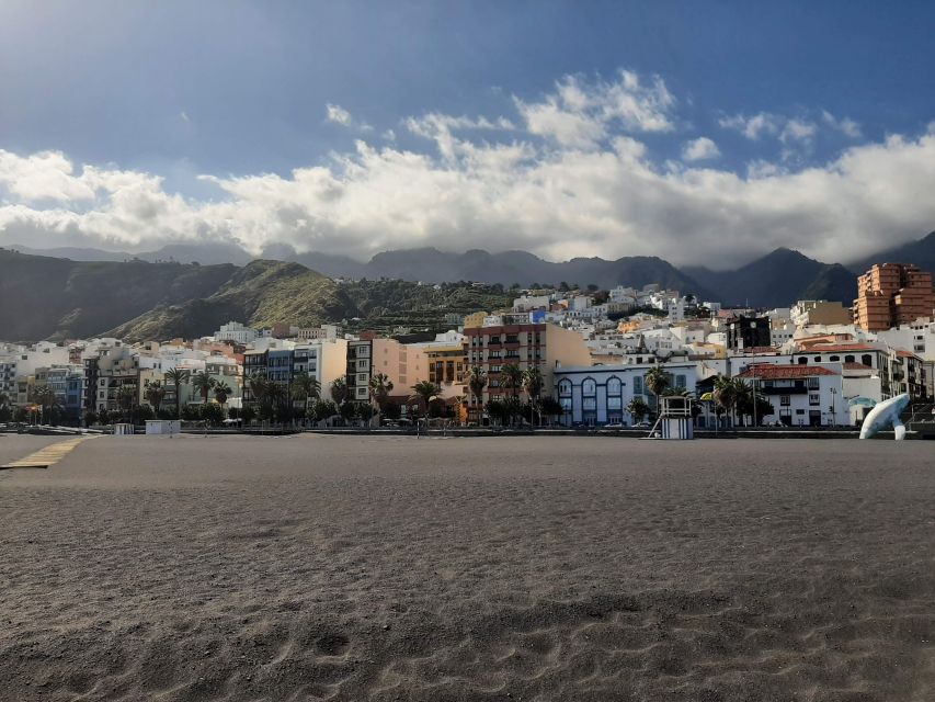 From Tenerife: Day Trip to La Palma Volcanic Landscapes - What to bring and who should book