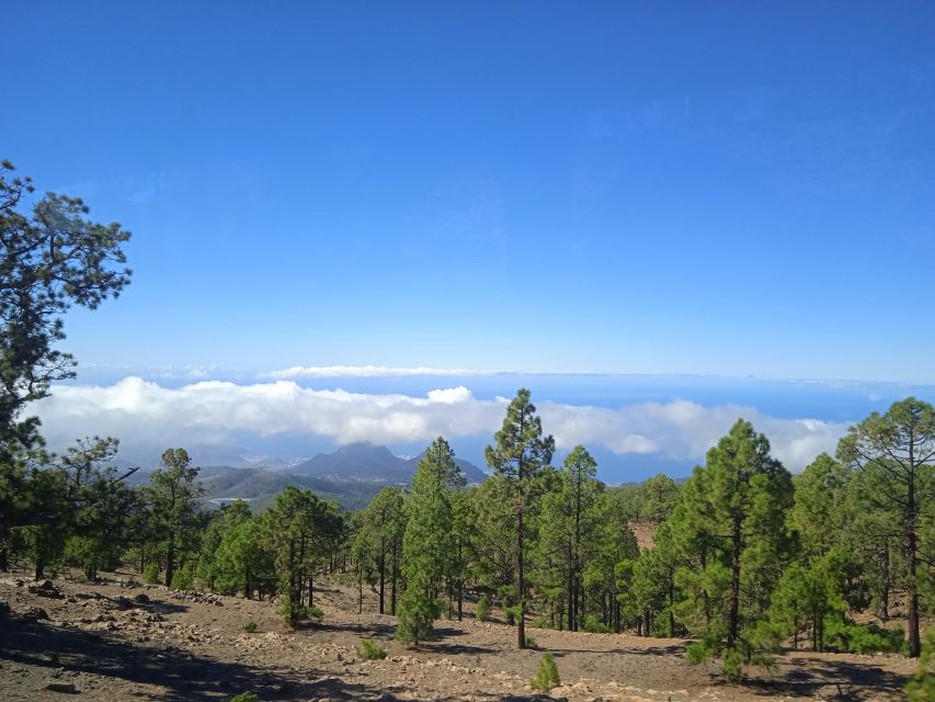 From Tenerife: Teide National Park Guided Day Trip by Bus - Key points at a glance