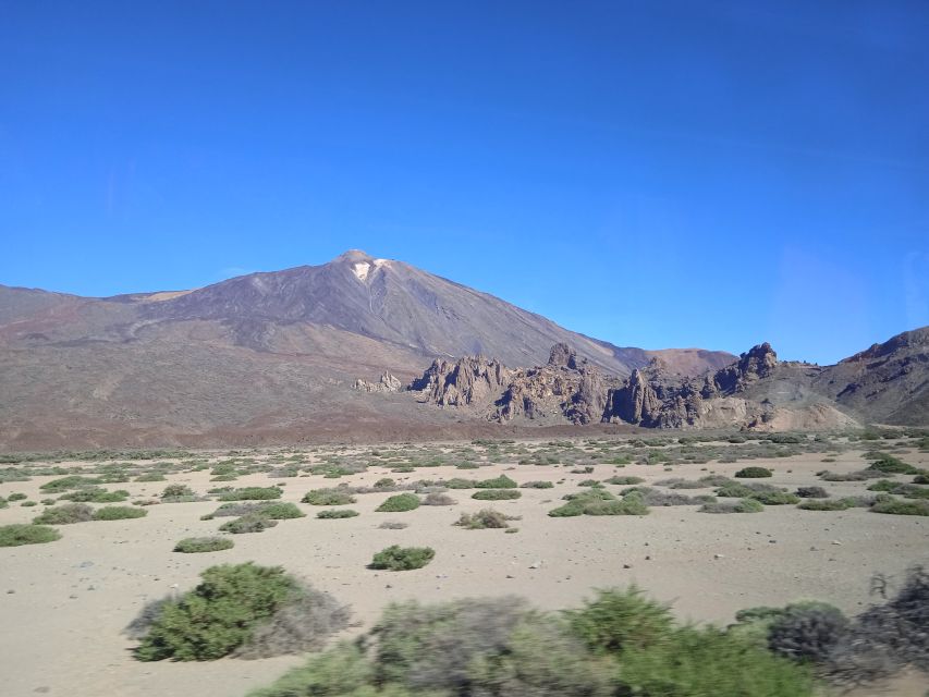 From Tenerife: Teide National Park Guided Day Trip by Bus - Teide National Park’s sharp change in scenery