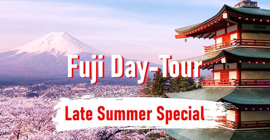 From Tokyo: 10-hour Mount Fuji Private Customizable Tour - A private way to reach Mount Fuji from Tokyo