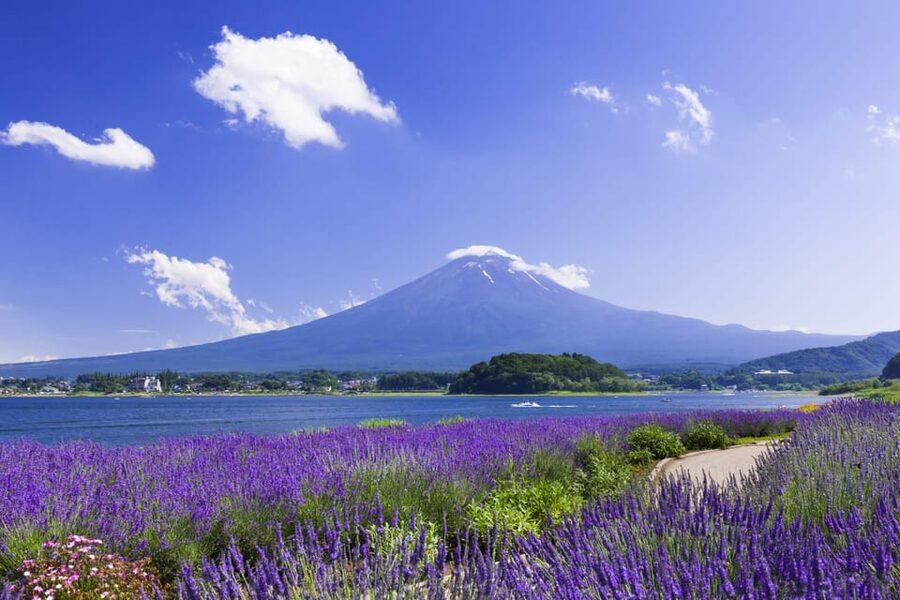 From Tokyo: Fuji Mountain Area - FujiQ - Lake Kawaguchiko - Chureito Pagoda - Key points to know before booking