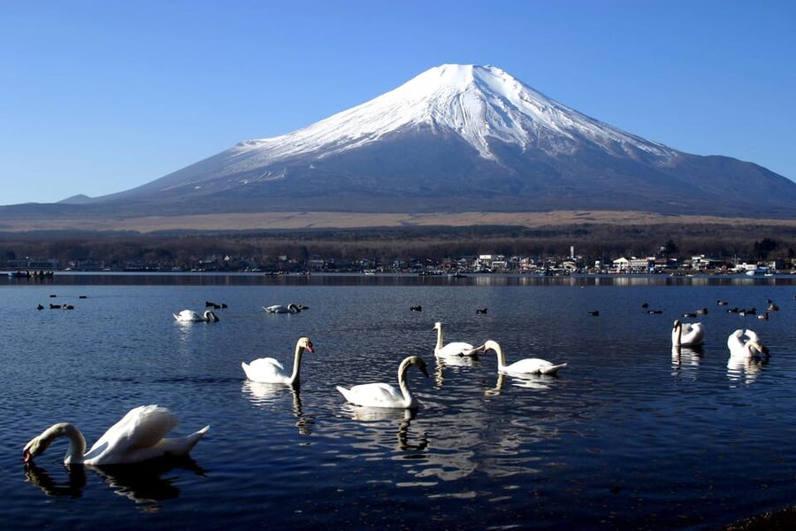 From Tokyo: Fuji Mountain Area - FujiQ - Lake Kawaguchiko - Chureito Pagoda - Lake Kawaguchiko gives the day breathing room