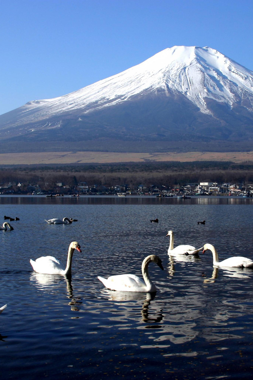 From Tokyo: Fuji Mountain Area - FujiQ - Lake Kawaguchiko - Chureito Pagoda - A private Alphard changes the feel of the day