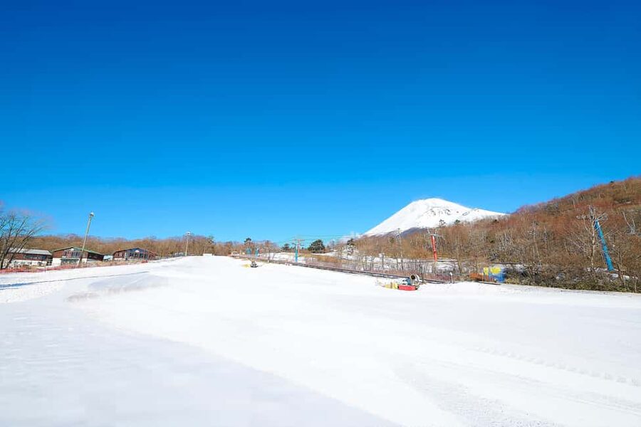 From Tokyo : Fujiyama Snow Resort Yeti Day Tour - Key points to know before booking