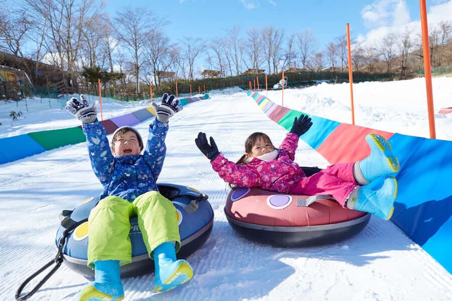 From Tokyo: Fujiyama Snow Resort Yeti Winter Ski Day Tour - Should you book Fujiyama Snow Resort Yeti?