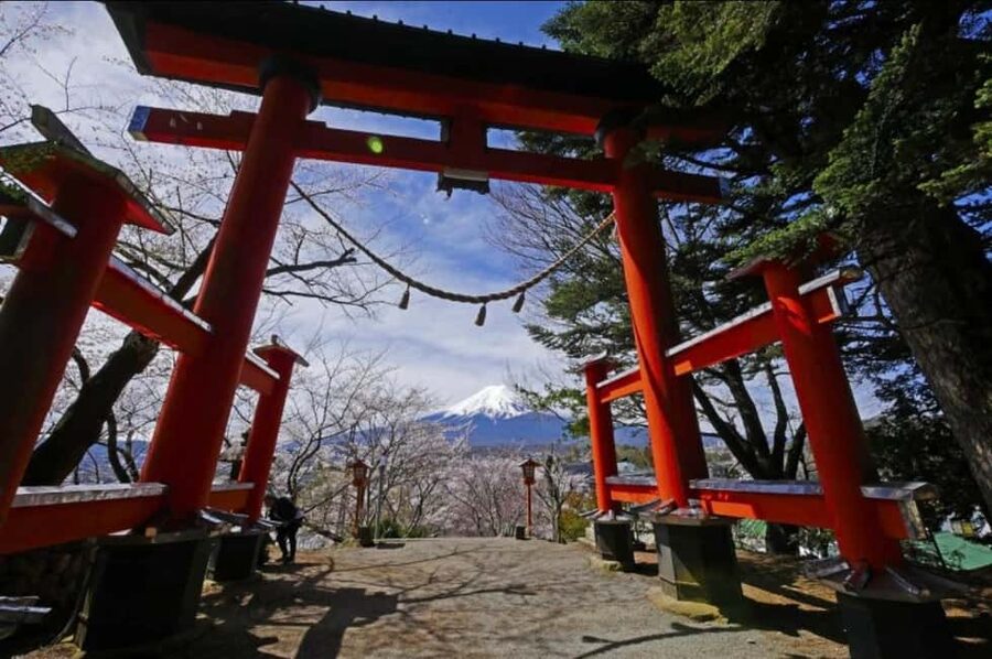From Tokyo: Full-Day Mount Fuji Tour in English or Spanish - Key points at a glance