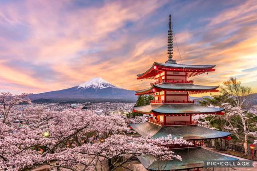 From Tokyo/Hakone/Fuji: Hakone & Mt. Fuji Day Trip w/Pickup - Lake Ashi and the short walk to Hakone Shrine