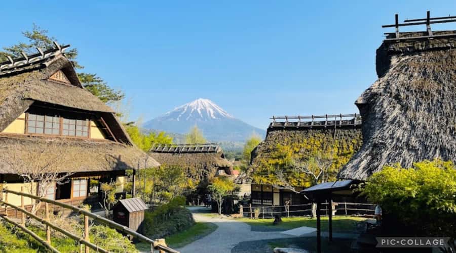 From Tokyo/Hakone/Fuji: Hakone & Mt. Fuji Day Trip w/Pickup - What to budget beyond the $580 price