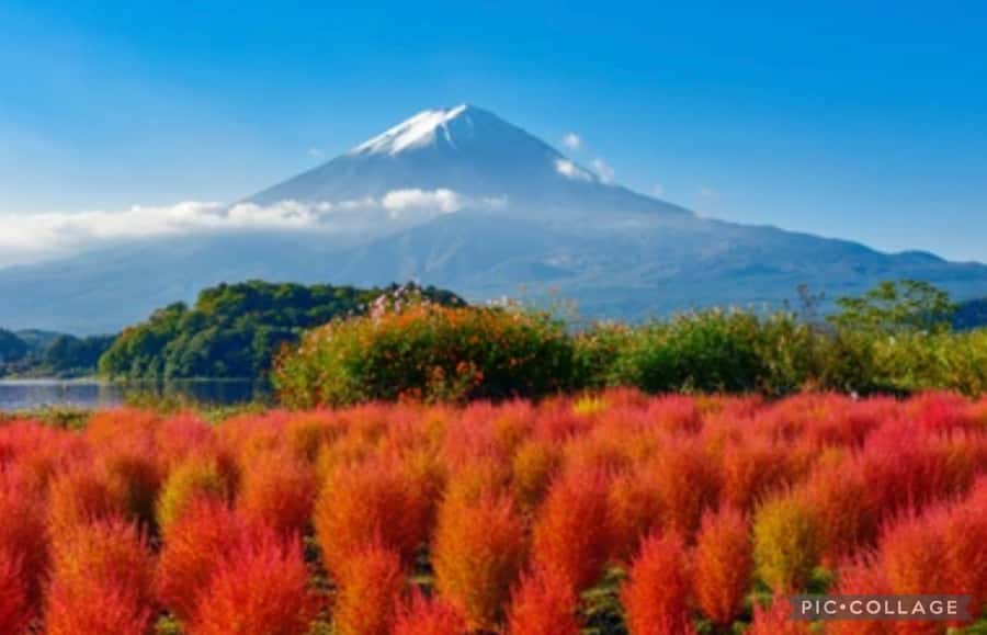 From Tokyo/Hakone/Fuji: Hakone & Mt. Fuji Day Trip w/Pickup - Riding the Komagatake Ropeway above Lake Ashi