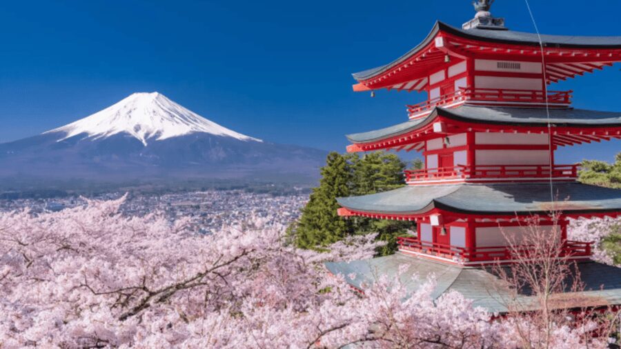From Tokyo: Mount Fuji and Hakone Private Customize tour - Oishi Park and Lake Kawaguchi
