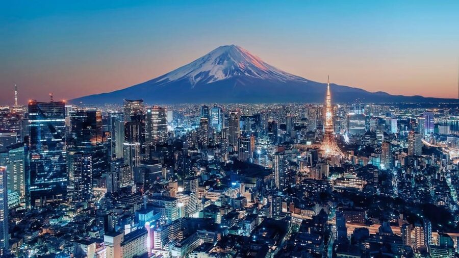 From Tokyo: Mount Fuji and Hakone Private Customize tour - The Hakone option: Ropeway and Lake Ashi