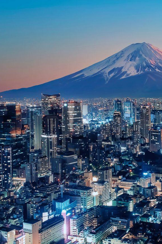 From Tokyo: Mount Fuji and Hakone Private Customize tour - Ten hours in a private vehicle