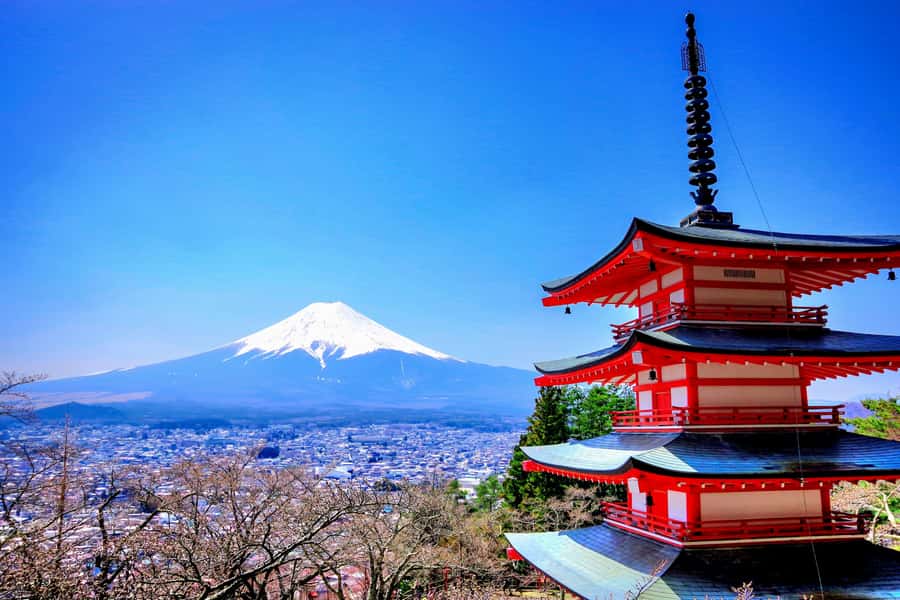 From Tokyo: Mount Fuji and Hakone Private Day Trip - A private route from Tokyo to Japan’s great volcano