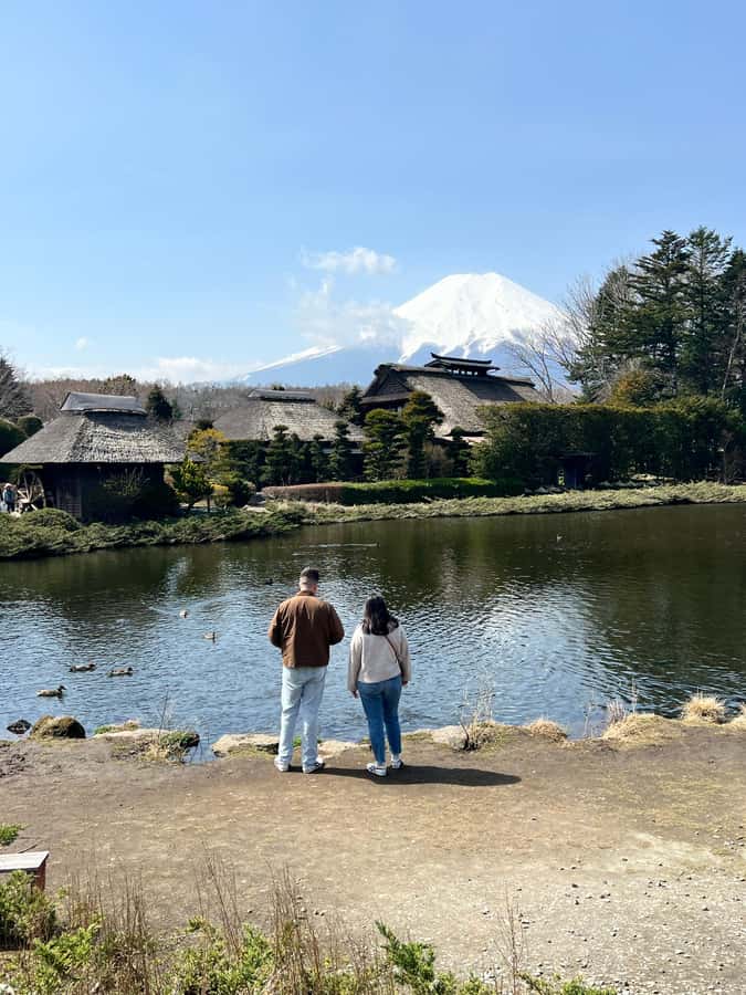 From Tokyo: Mount Fuji and Hakone Private Day Trip - How the private vehicle changes the day