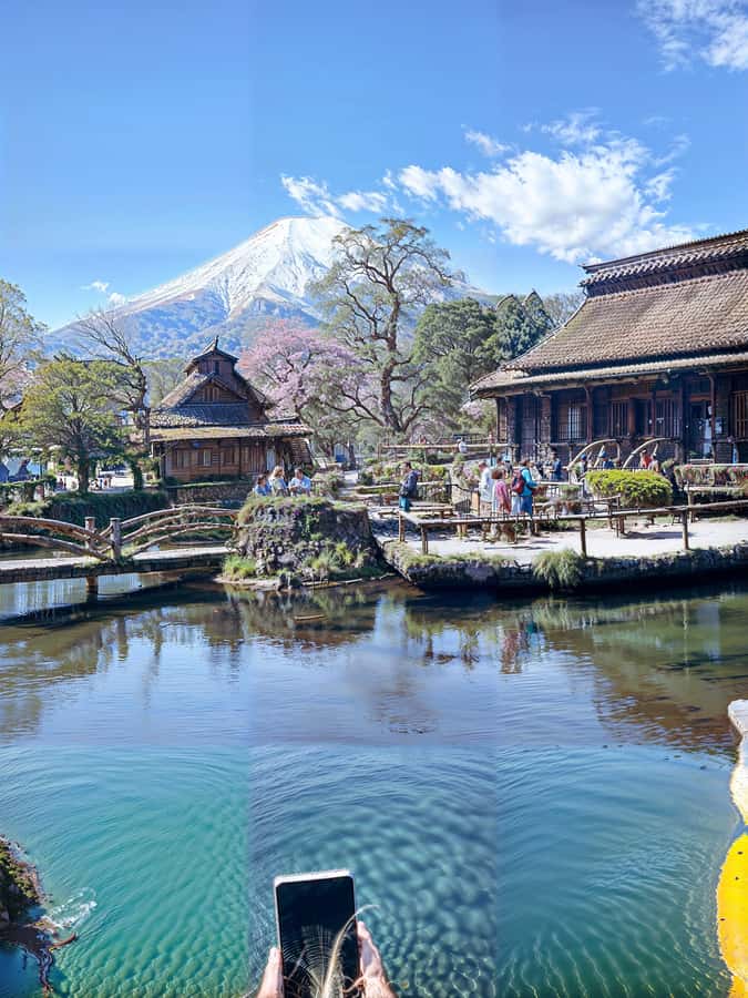 From Tokyo: Mount Fuji and Hakone Private Day Trip - Choosing your Mount Fuji priorities before departure
